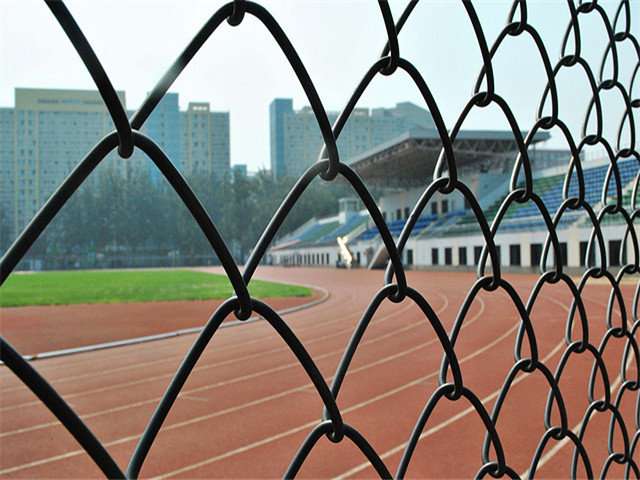 田徑場圍網(wǎng)圖片2 田徑場圍網(wǎng)圖片2