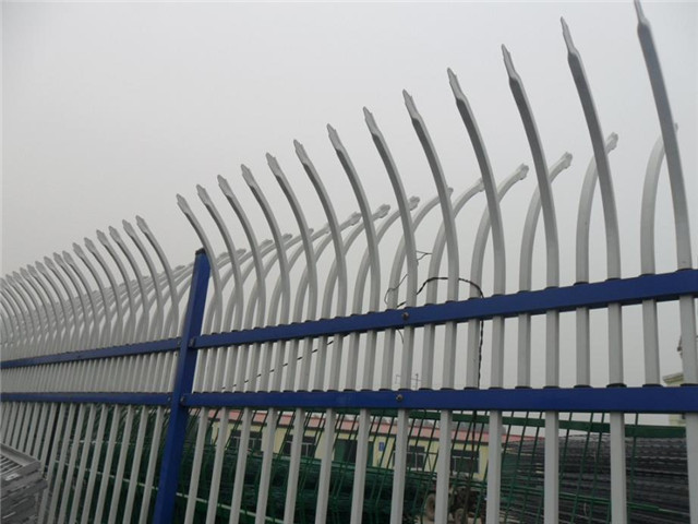 學(xué)校鋅鋼護(hù)欄圖片1 學(xué)校鋅鋼護(hù)欄圖片1